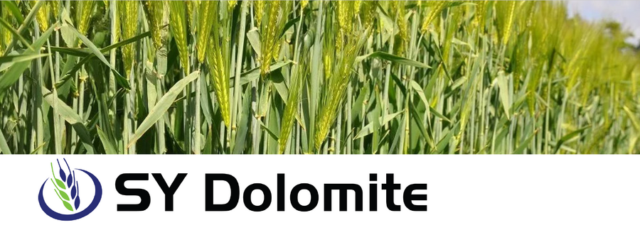 SY Dolomite