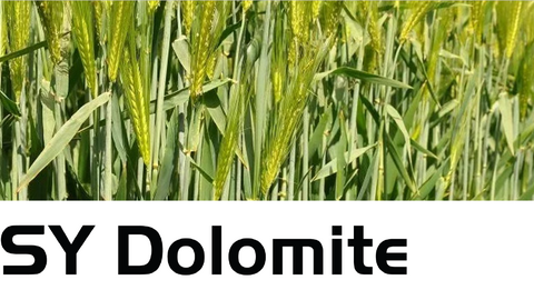 SY Dolomite