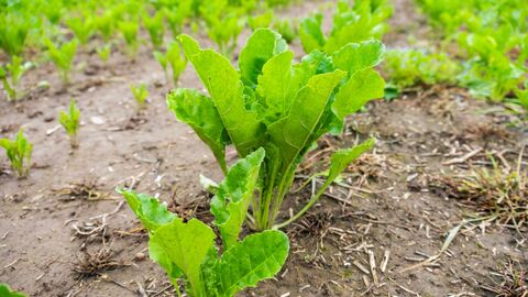 Shutterstock 2572753715